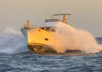 Trawler Parduodama