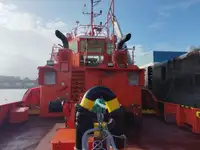 Vilktukas parduodamas