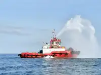 Vilkikas Parduodama