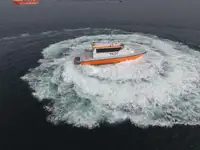 Vilktukas parduodamas