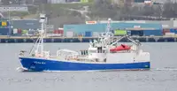Purse seiner Parduodama