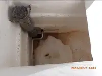 Žiedinis traleris parduodamas