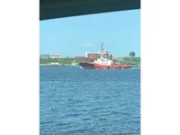 Vilktukas parduodamas