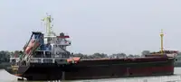 Birių krovinių laivas Parduodama