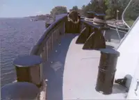 Vilktukas parduodamas