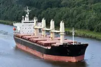 Birių krovinių laivas Parduodama