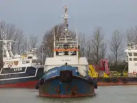 Vilkikas Parduodama