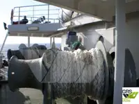 Ro-Ro laivas parduodamas