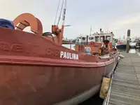 Barža Parduodama