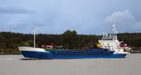 Birių krovinių laivas Parduodama