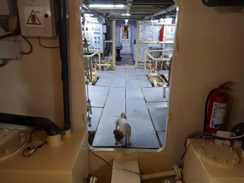 General Cargo/Multi-purpose parduodamas