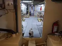 General Cargo/Multi-purpose parduodamas