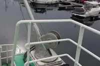 Vilktukas parduodamas