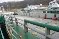 Vilktukas parduodamas