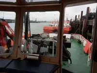 Vilktukas parduodamas