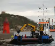 Vilktukas parduodamas
