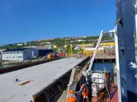 Vilktukas parduodamas