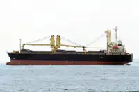 Birių krovinių laivas Parduodama