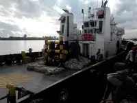 Vilktukas parduodamas