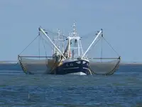 Trawler Parduodama