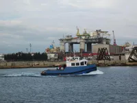 Vilktukas parduodamas