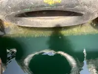 Vilktukas parduodamas