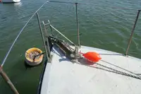 Vilktukas parduodamas