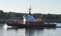 Vilktukas parduodamas