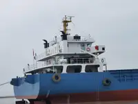 Birių krovinių laivas Parduodama