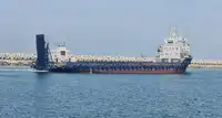 Ro-Ro ship Parduodama