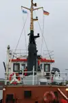 Vilktukas parduodamas
