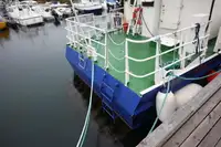 Vilktukas parduodamas