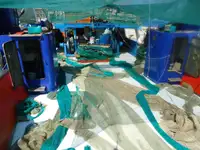 Trawler Parduodama