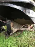 Vilktukas parduodamas