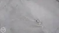 Kontainerių laivas parduodamas