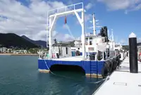 Kruizinis laivas parduodamas