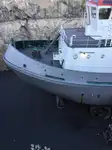 Vilktukas parduodamas