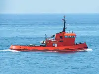 Vilkikas Parduodama