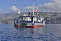 Vilktukas parduodamas