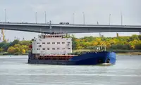 Birių krovinių laivas Parduodama