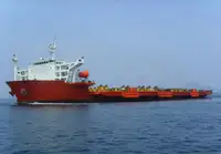 Birių krovinių laivas Parduodama