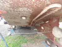 Vilktukas parduodamas