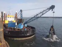 Dregirė parduodamas
