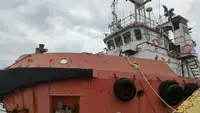 Vilktukas parduodamas
