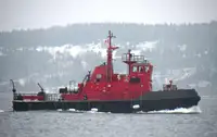 Vilkikas Parduodama