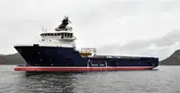 Vilktukas parduodamas