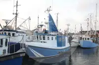 Gyvų žuvų pervežimo laivas parduodamas