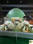 Ro-Ro laivas parduodamas