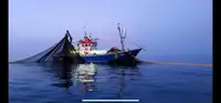 Trawler Parduodama