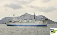 Ro-Ro ship Parduodama